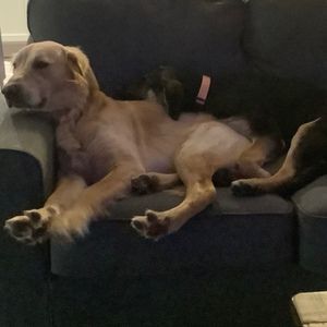 Meet your Posher, Brynn